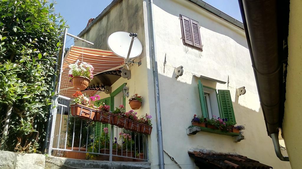Durdica